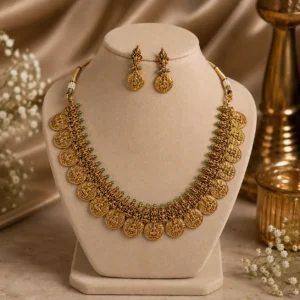 vaidehi palakka set